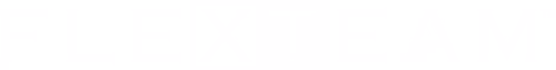Logo-FLEXTEAM-500-def